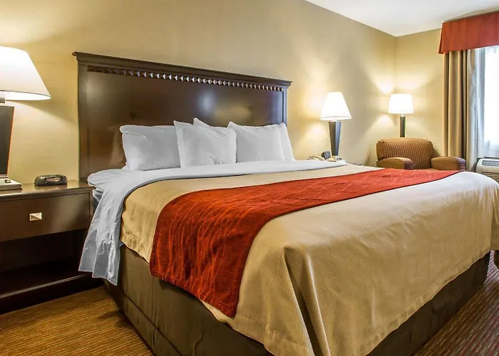 Quality Inn Greenville North